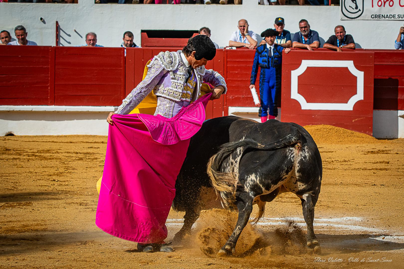 Corrida (2).jpg